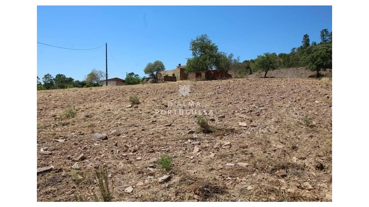 Terreno para Venda em Salir Foto 11