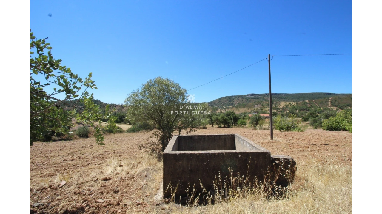 Terreno para Venda em Salir Foto 19