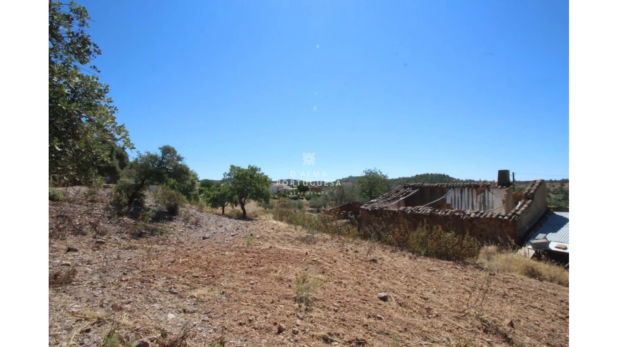 Terreno para Venda em Salir Foto 23