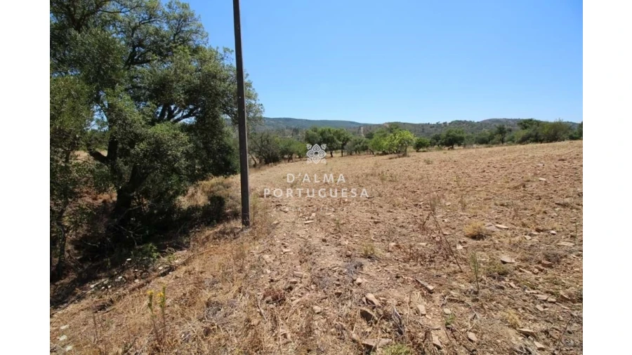 Terreno para Venda em Salir Foto 10