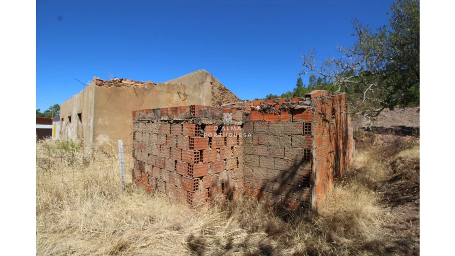 Terreno para Venda em Salir Foto 16