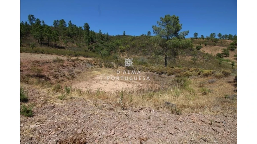 Terreno para Venda em Salir Foto 12
