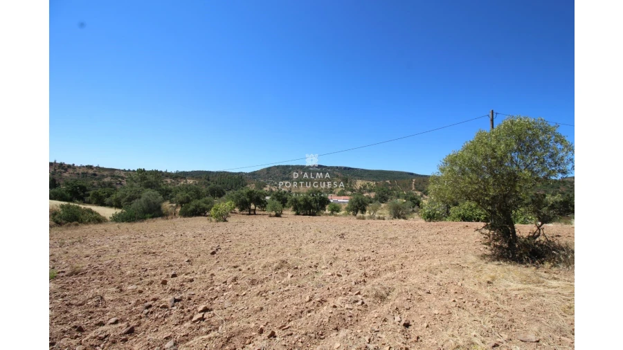 Terreno para Venda em Salir Foto 20
