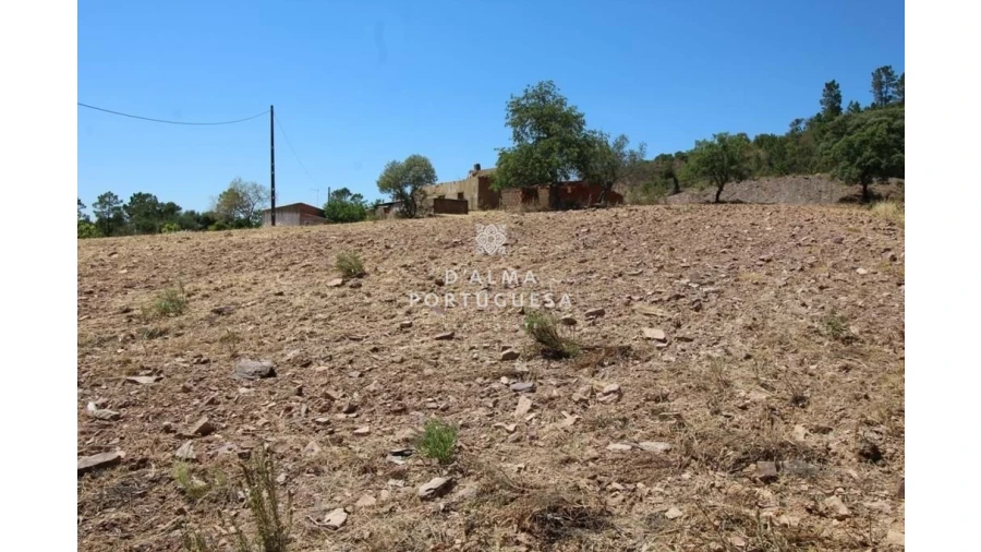 Terreno para Venda em Salir Foto 11