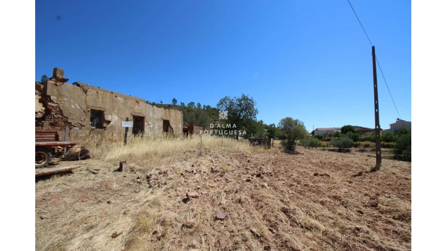 Terreno para Venda em Salir Foto 13