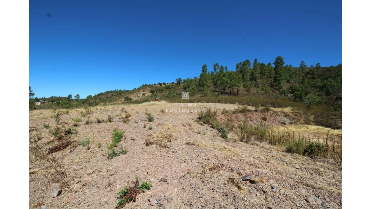Terreno para Venda em Salir Foto 22