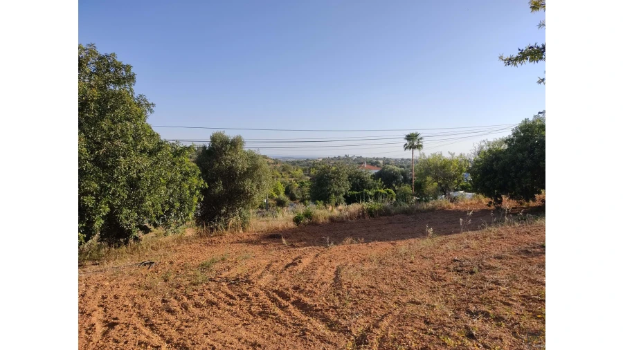 Terreno para Venda em Boliqueime Foto 12