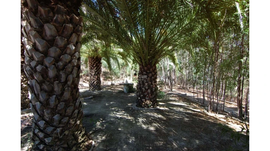 Quinta T3 para Venda em Portimão Foto 12