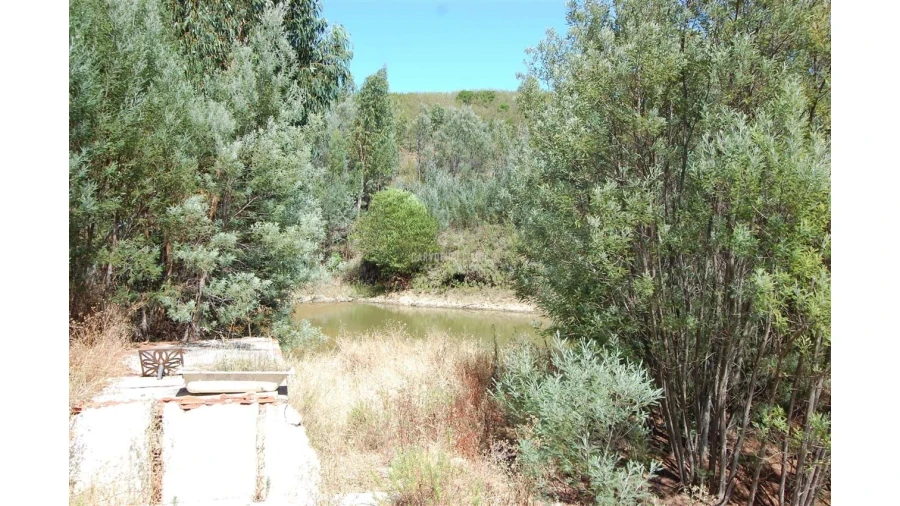 Quinta T3 para Venda em Portimão Foto 2