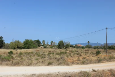 Apartamento para Venda em São Silvestre