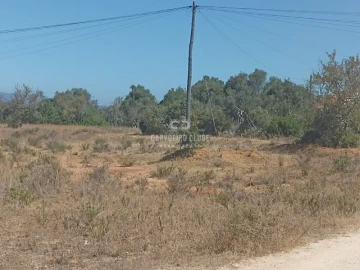 Apartamento para Venda em São Silvestre