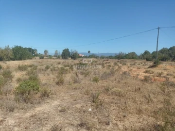 Apartamento para Venda em São Silvestre