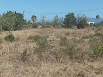 Apartamento para Venda em São Silvestre