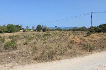 Apartamento para Venda em São Silvestre