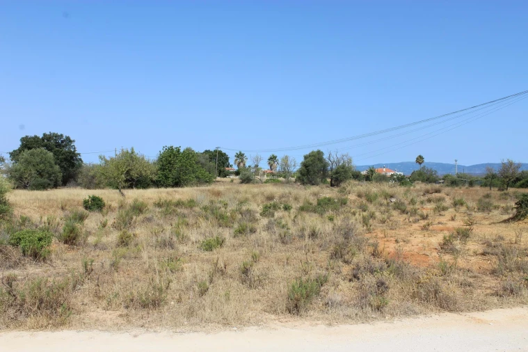 Apartamento para Venda em São Silvestre Foto 3