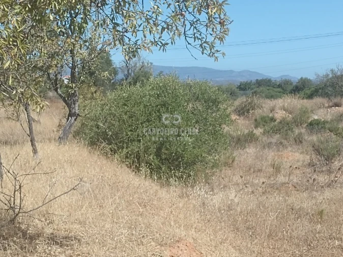 Apartamento para Venda em São Silvestre Foto 14