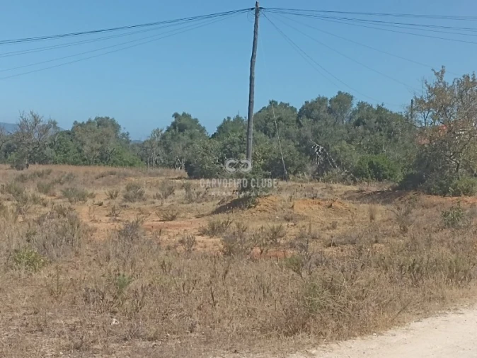 Apartamento para Venda em São Silvestre Foto 13