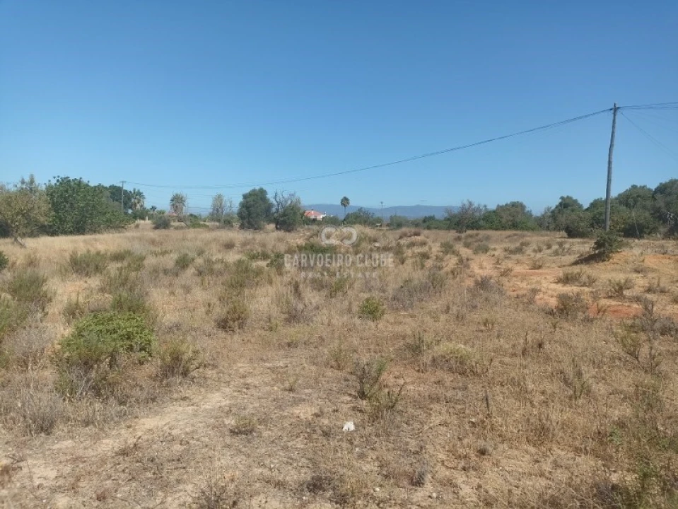 Apartamento para Venda em São Silvestre Foto 10