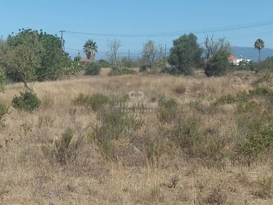 Apartamento para Venda em São Silvestre Foto 11