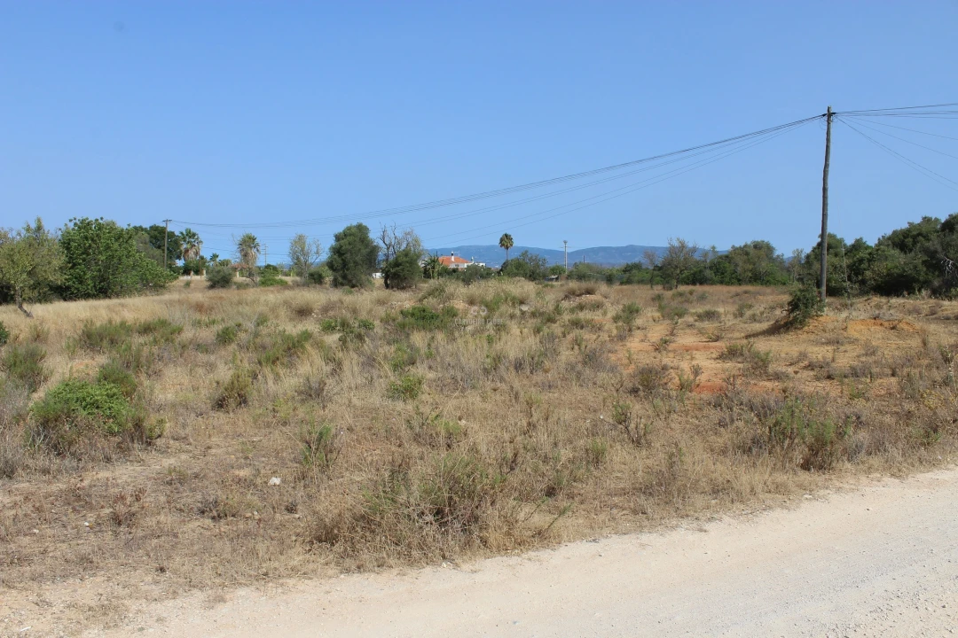 Apartamento para Venda em São Silvestre Foto 6