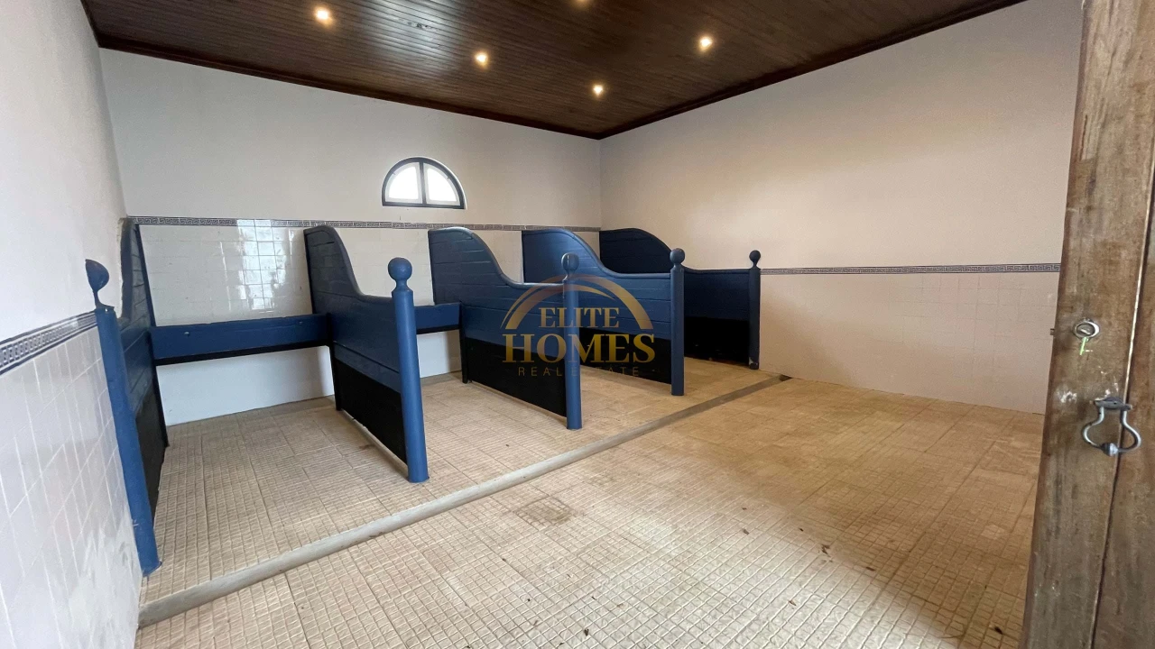 Quinta T5 para Venda em Carregado e Cadafais Foto 35