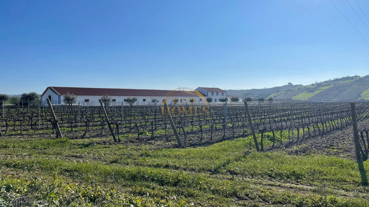 Quinta T5 para Venda em Carregado e Cadafais Foto 4