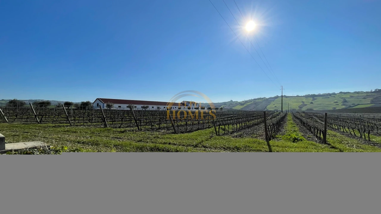 Quinta T5 para Venda em Carregado e Cadafais Foto 37