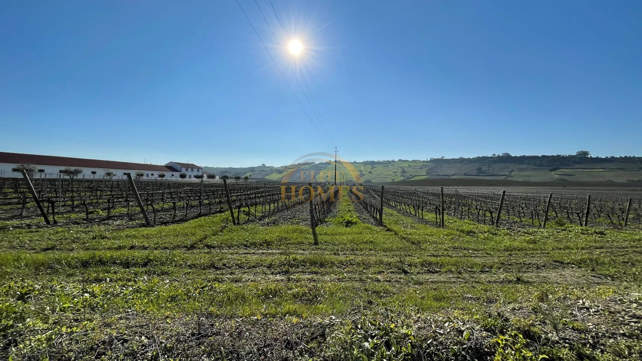 Quinta T5 para Venda em Carregado e Cadafais Foto 2