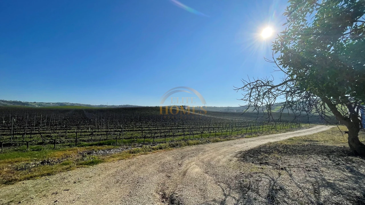 Quinta T5 para Venda em Carregado e Cadafais Foto 6