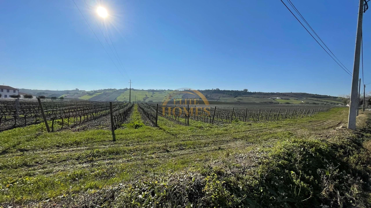 Quinta T5 para Venda em Carregado e Cadafais Foto 3