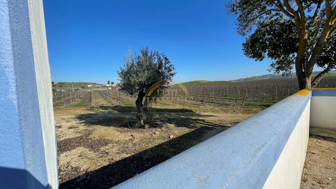 Quinta T5 para Venda em Carregado e Cadafais Foto 7