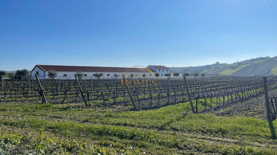 Quinta T5 para Venda em Carregado e Cadafais Foto 4