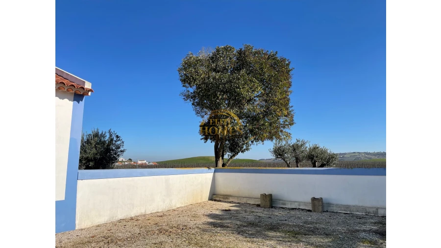 Quinta T5 para Venda em Carregado e Cadafais Foto 8