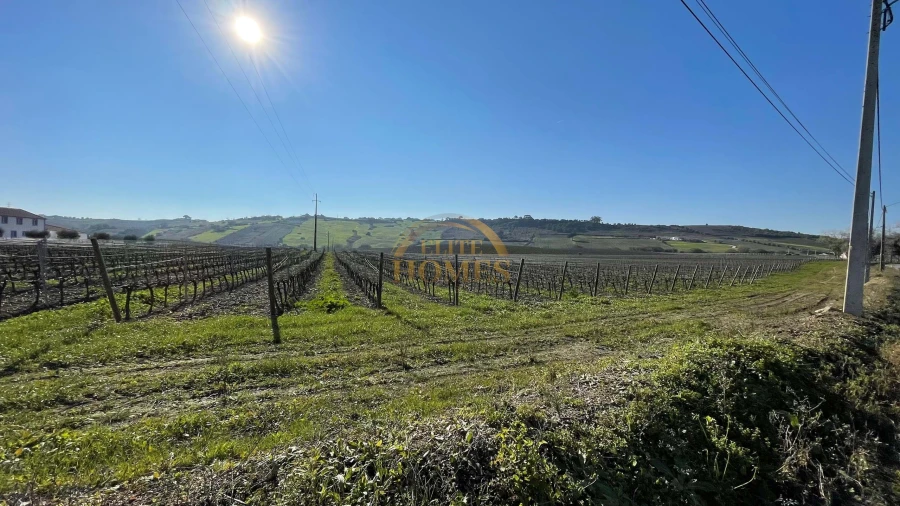 Quinta T5 para Venda em Carregado e Cadafais Foto 3