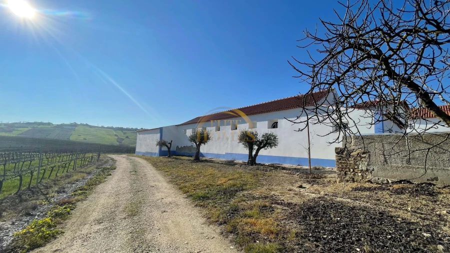 Quinta T5 para Venda em Carregado e Cadafais Foto 9