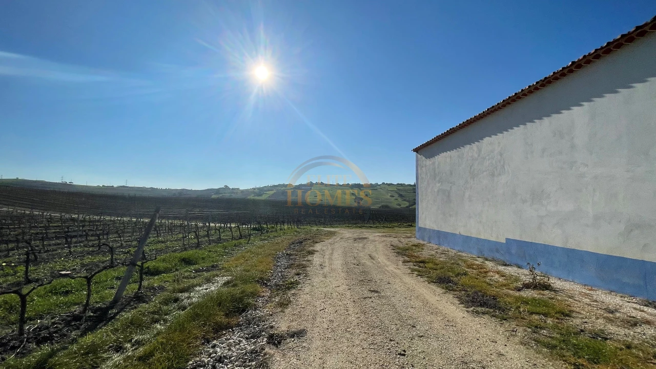 Quinta T5 para Venda em Carregado e Cadafais Foto 10