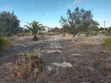 Terreno para Venda em Santa Barbara de Nexe