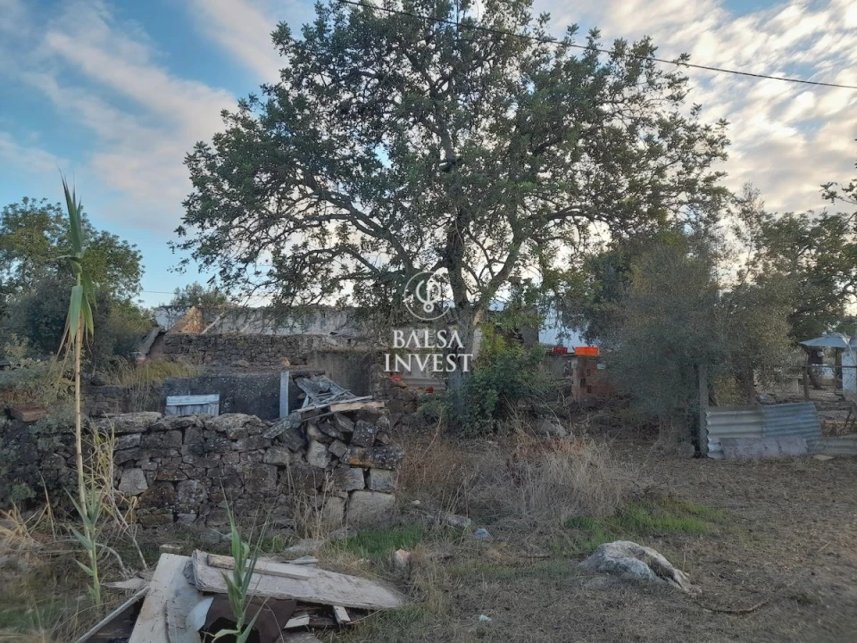 Terreno para Venda em Santa Barbara de Nexe Foto 7