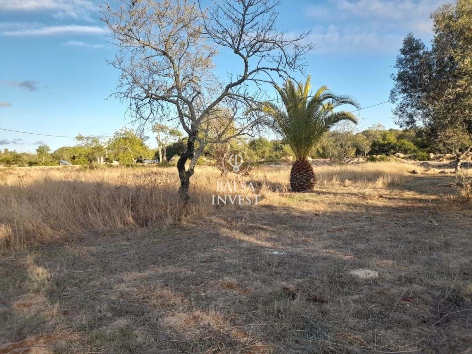 Terreno para Venda em Santa Barbara de Nexe Foto 8