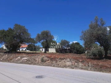 Terreno para Venda em São Silvestre