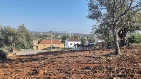 Terreno para Venda em São Silvestre