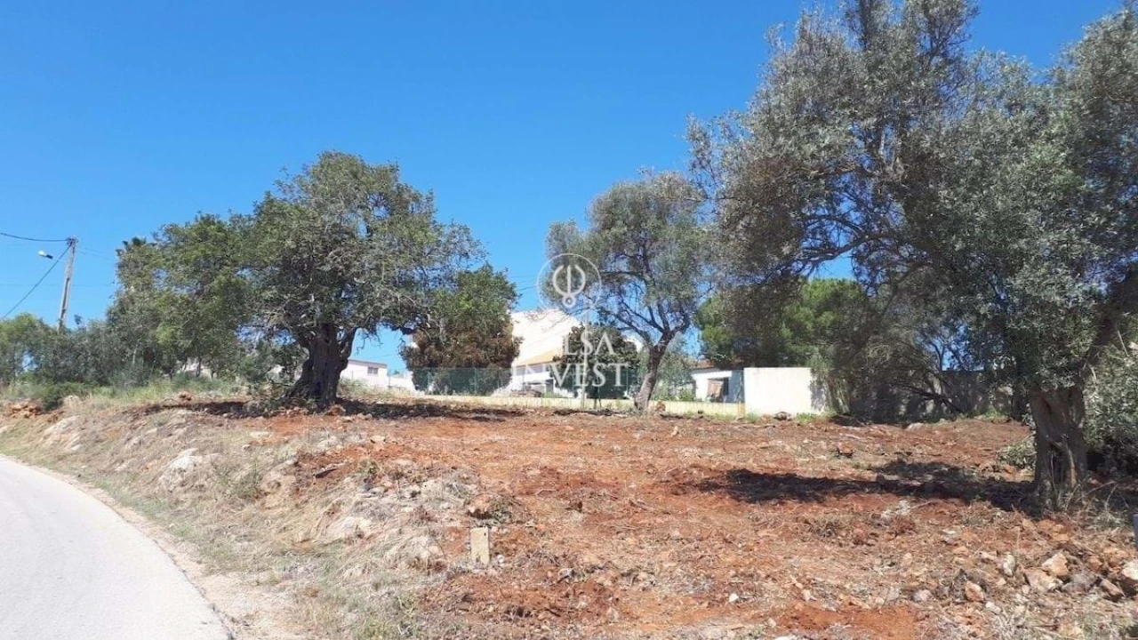 Terreno para Venda em São Silvestre Foto 2