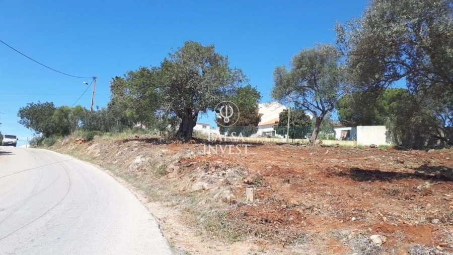 Terreno para Venda em São Silvestre Foto 5