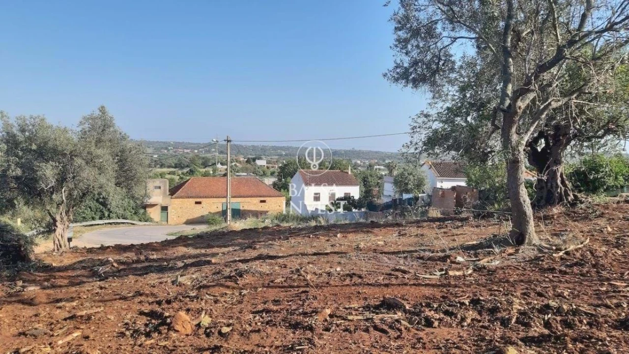 Terreno para Venda em São Silvestre Foto 4