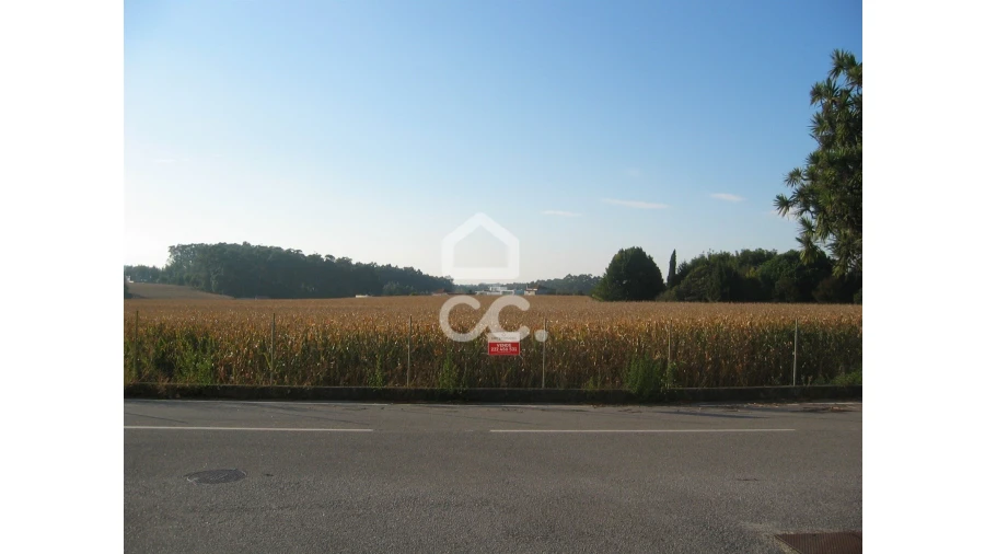 Terreno para Venda em Vila Nova da Telha Foto 5