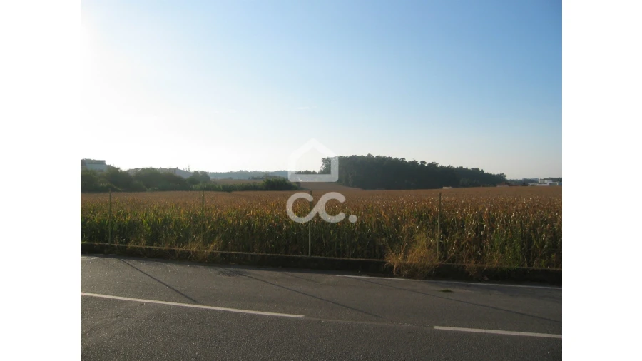 Terreno para Venda em Vila Nova da Telha Foto 12