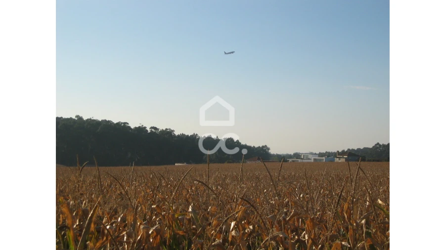 Terreno para Venda em Vila Nova da Telha Foto 7
