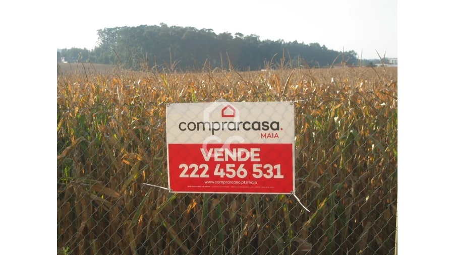 Terreno para Venda em Vila Nova da Telha Foto 2