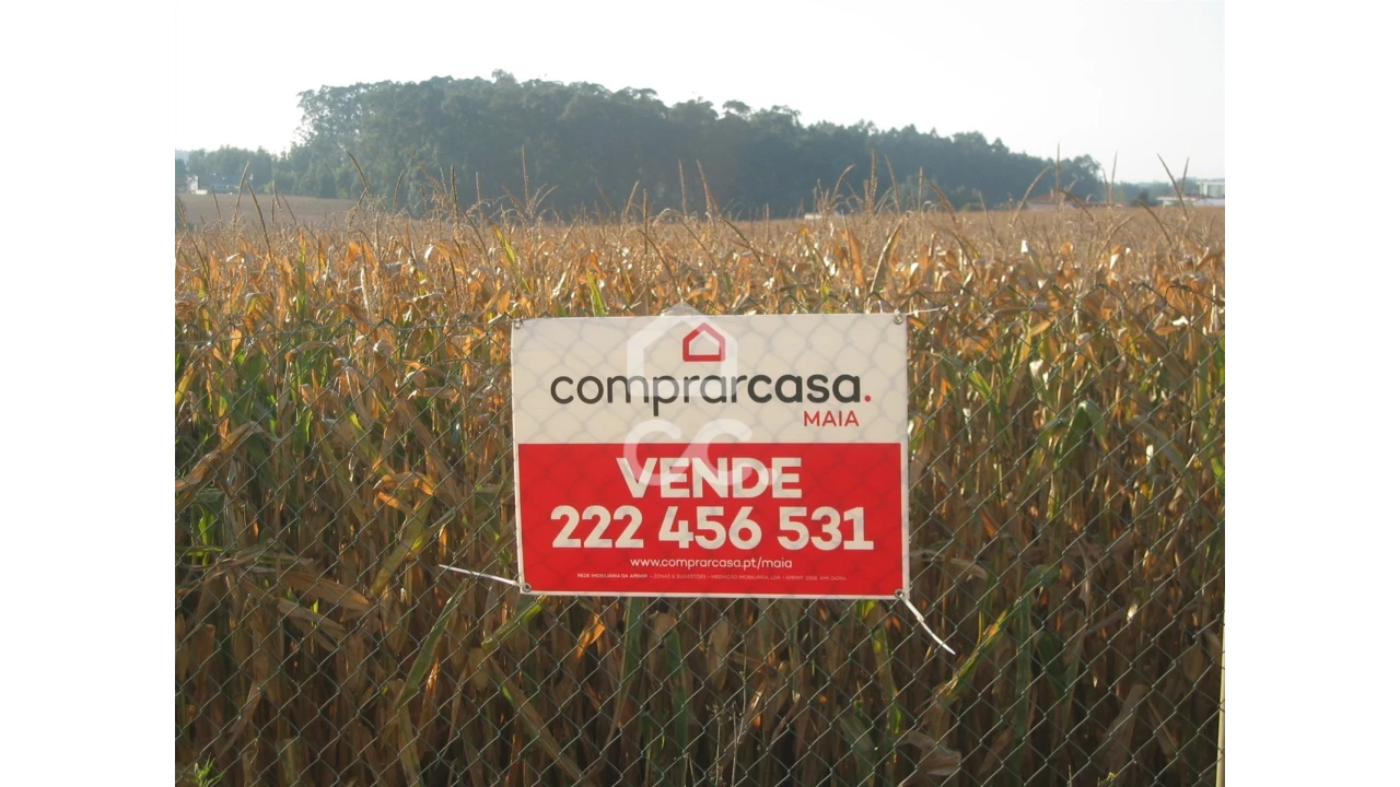 Terreno para Venda em Vila Nova da Telha Foto 2