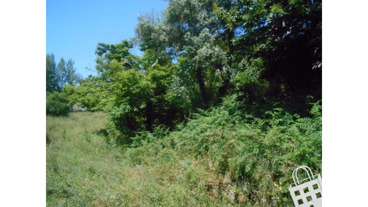 Terreno para Venda em Abação e Gémeos Foto 2